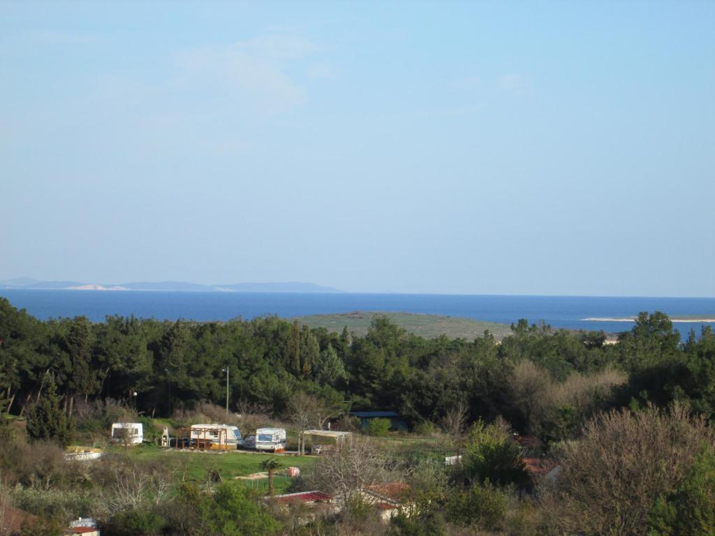 Apartments Villa Fernetich Premantura Luaran gambar